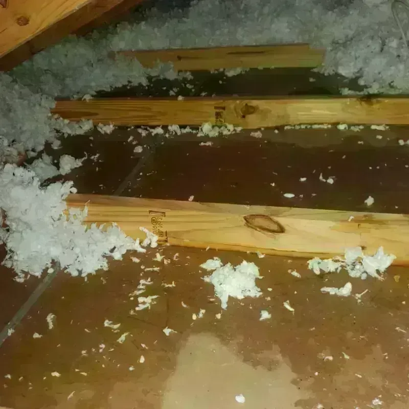 Attic Water Damage in Plympton, MA