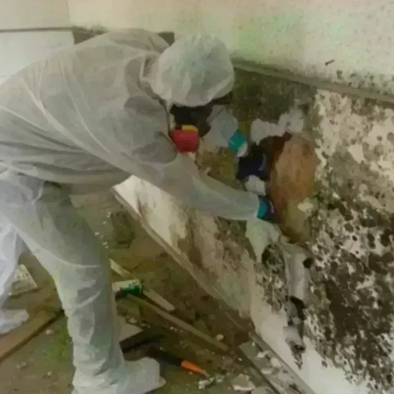 Mold Remediation and Removal in Plympton, MA